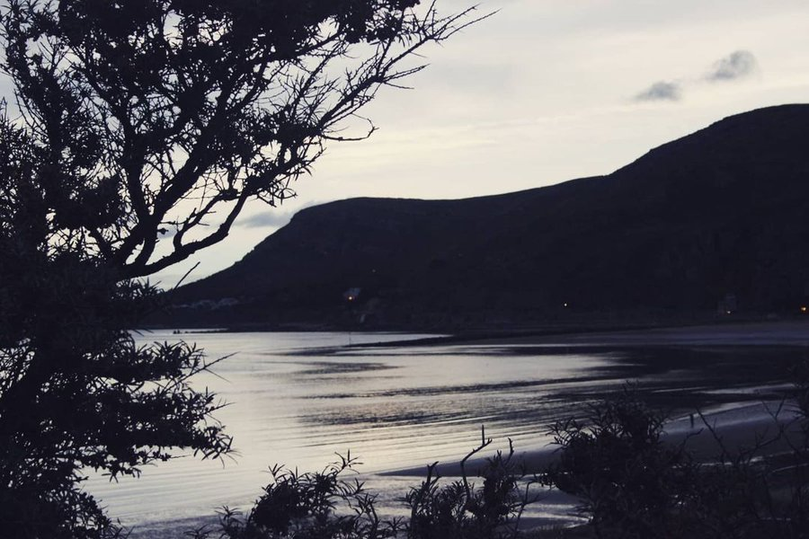 vera (ᵔᗜᵔ)◜ ★⋆˚｡⋆ tweet media