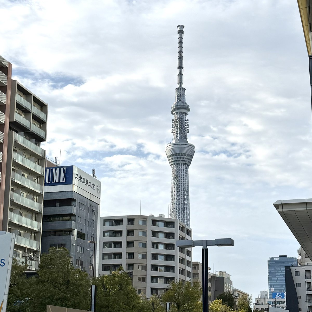 あすかつつみ🌷デザフェス63 H205•206 tweet media