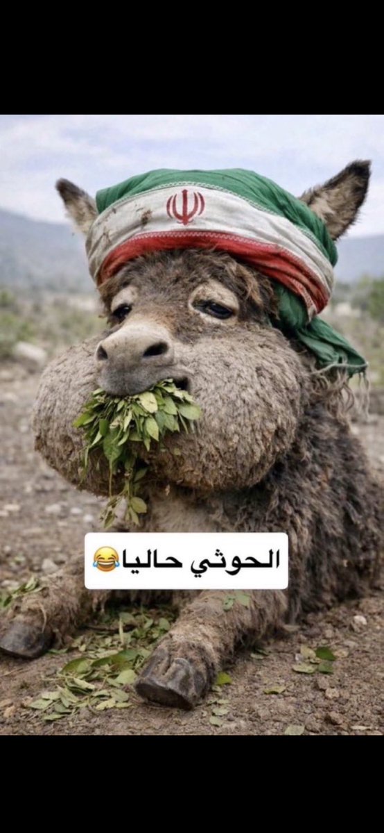 سليمان التميمي tweet media