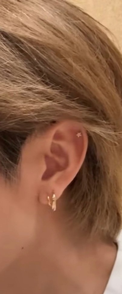 plankton tweet media