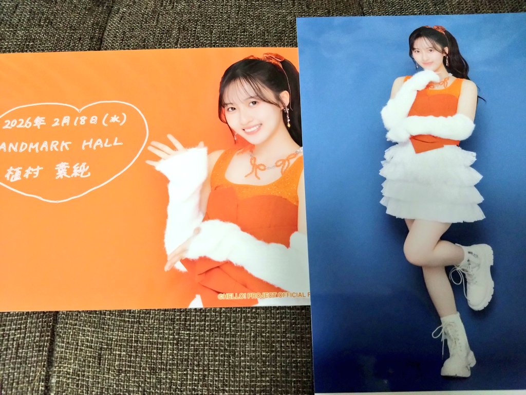 DDY@れーなさん命名（ゆう） tweet media