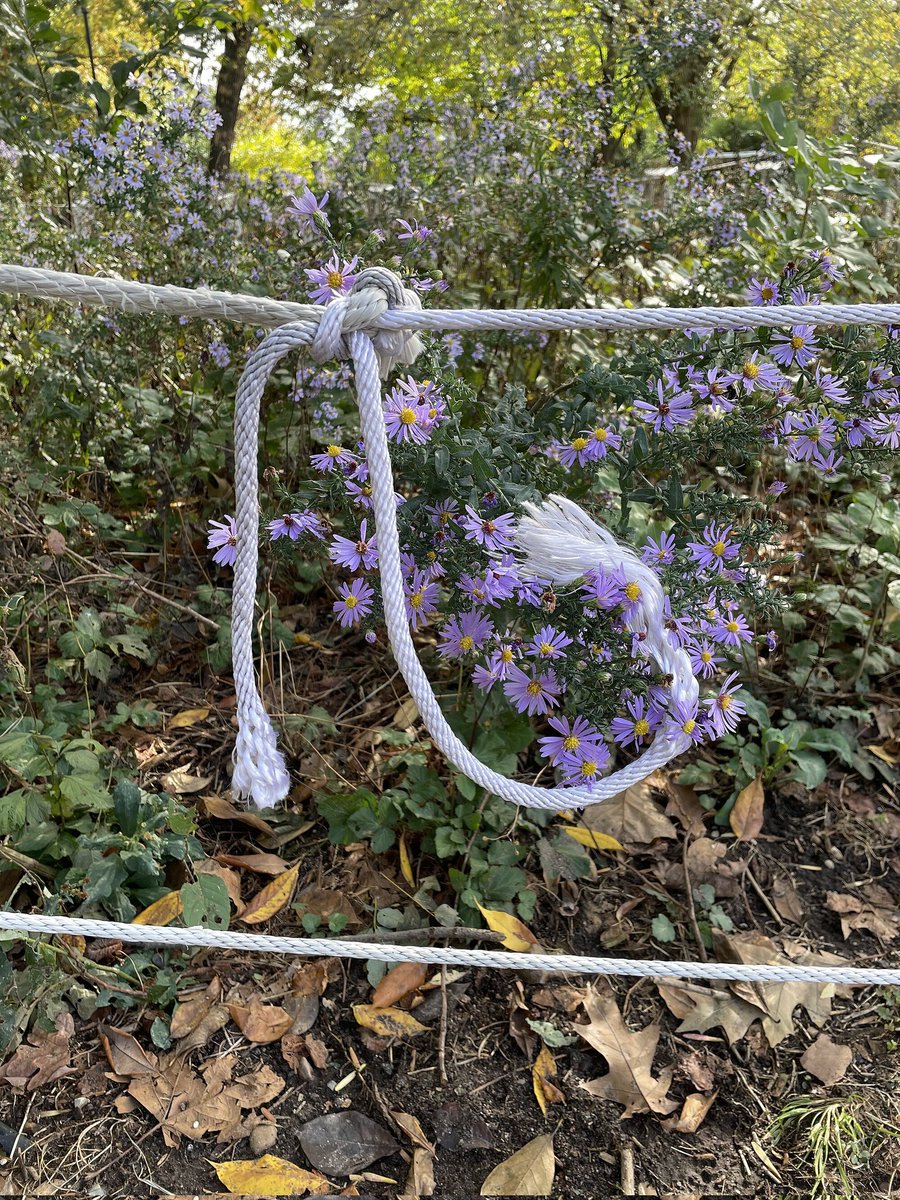 सुरेश पंत sureshpant tweet media