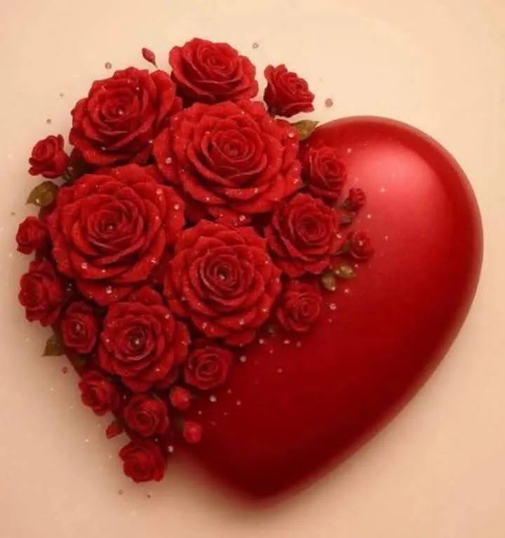 ElghaliMax66153's tweet photo. @mehrab1278 You are my sunshine forever I love you forever. Max. https://t.co/26DiT6B2Ey