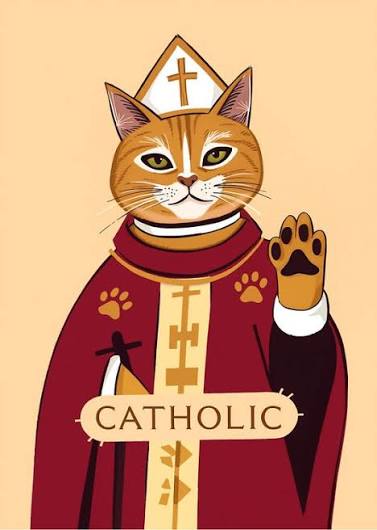 😹David Wong🙀 tweet media