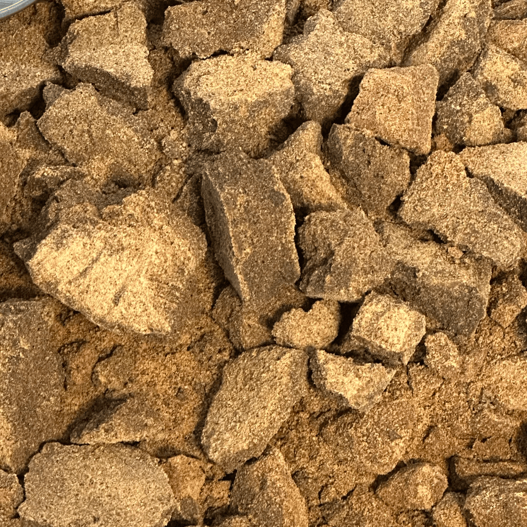 massart patrick tweet media