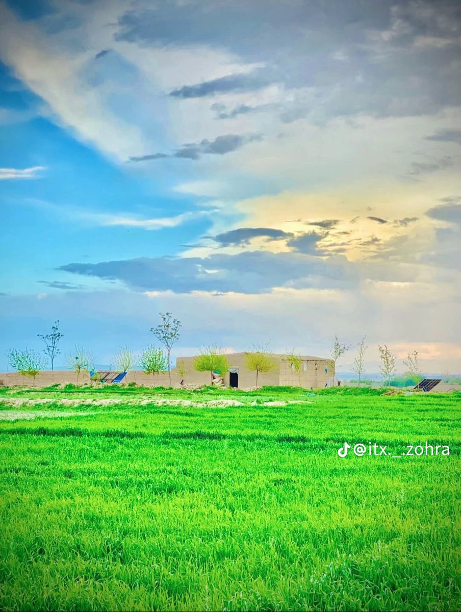 یاســر زرنجــوي tweet media