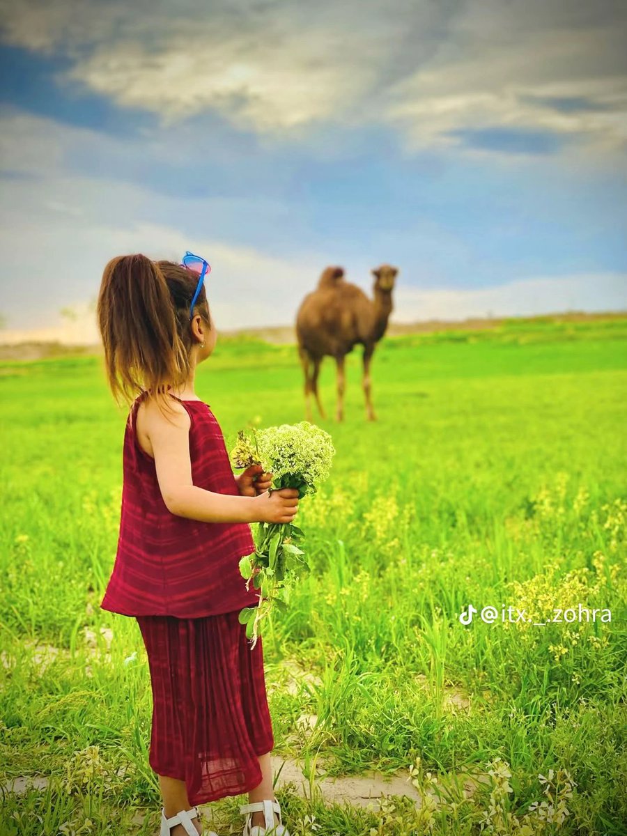 یاســر زرنجــوي tweet media