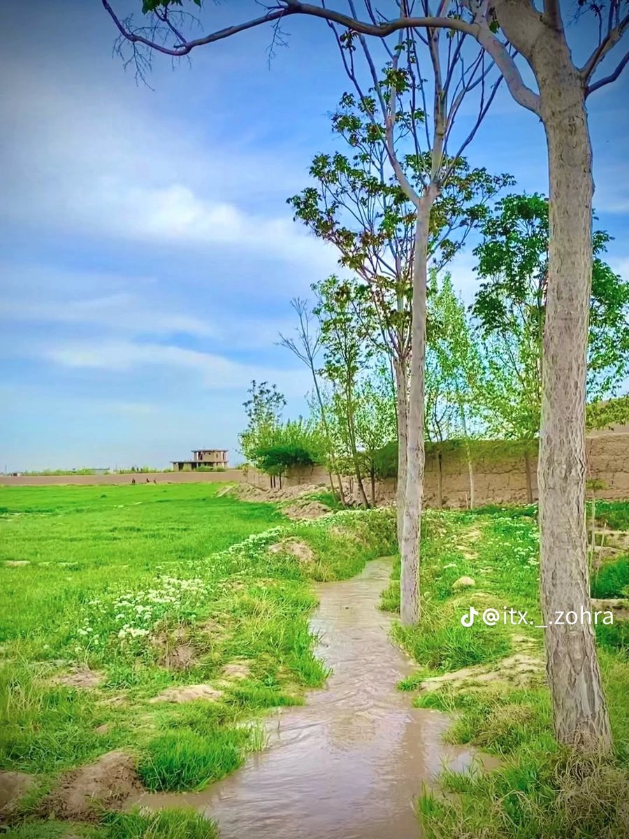 یاســر زرنجــوي tweet media