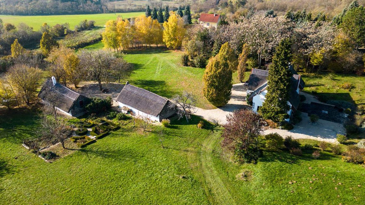 Ungarn-Immobilien.ch - Haus kaufen in Ungarn 🚜 tweet media