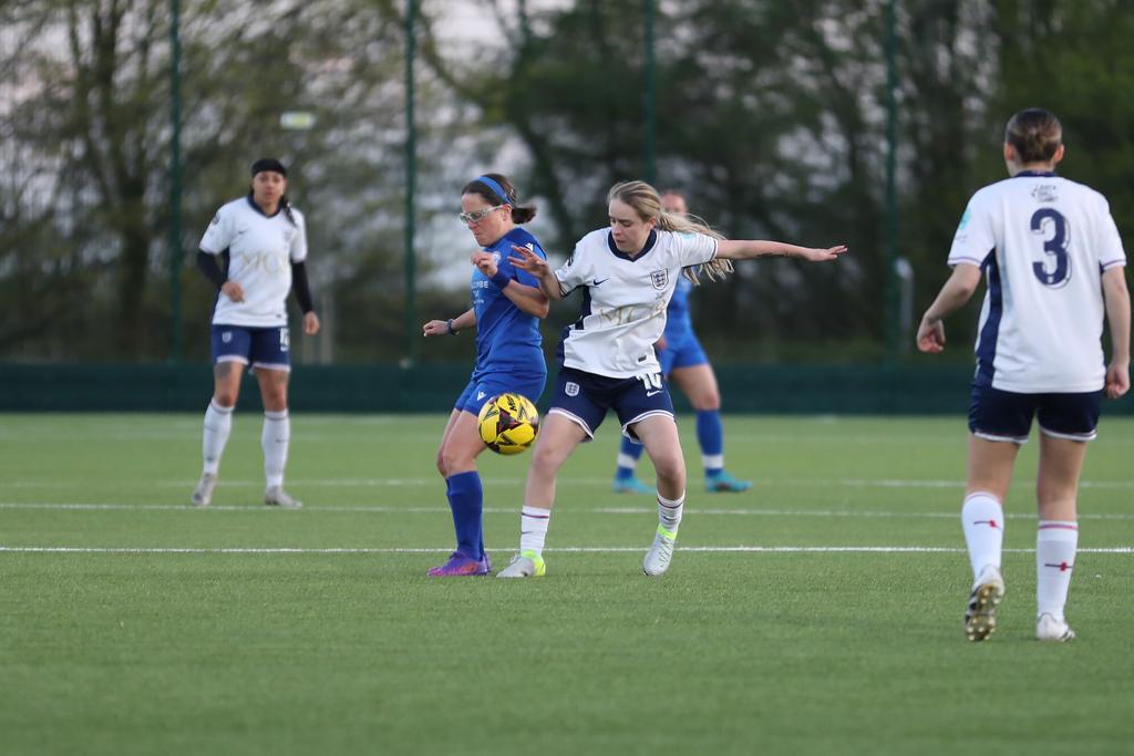 LionessesST tweet media
