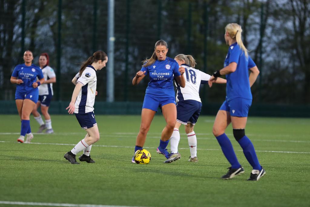LionessesST tweet media