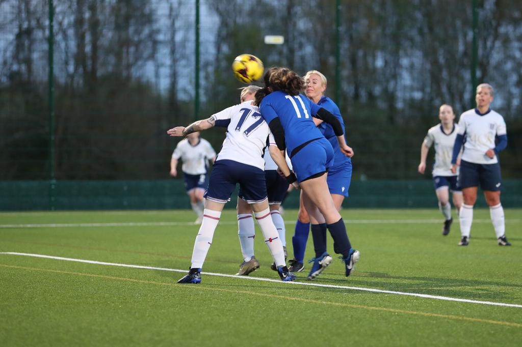 LionessesST tweet media