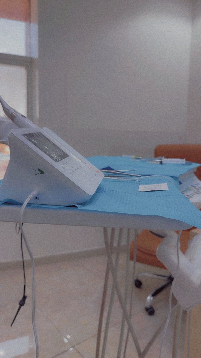 البرنسيسه🕊️ tweet media