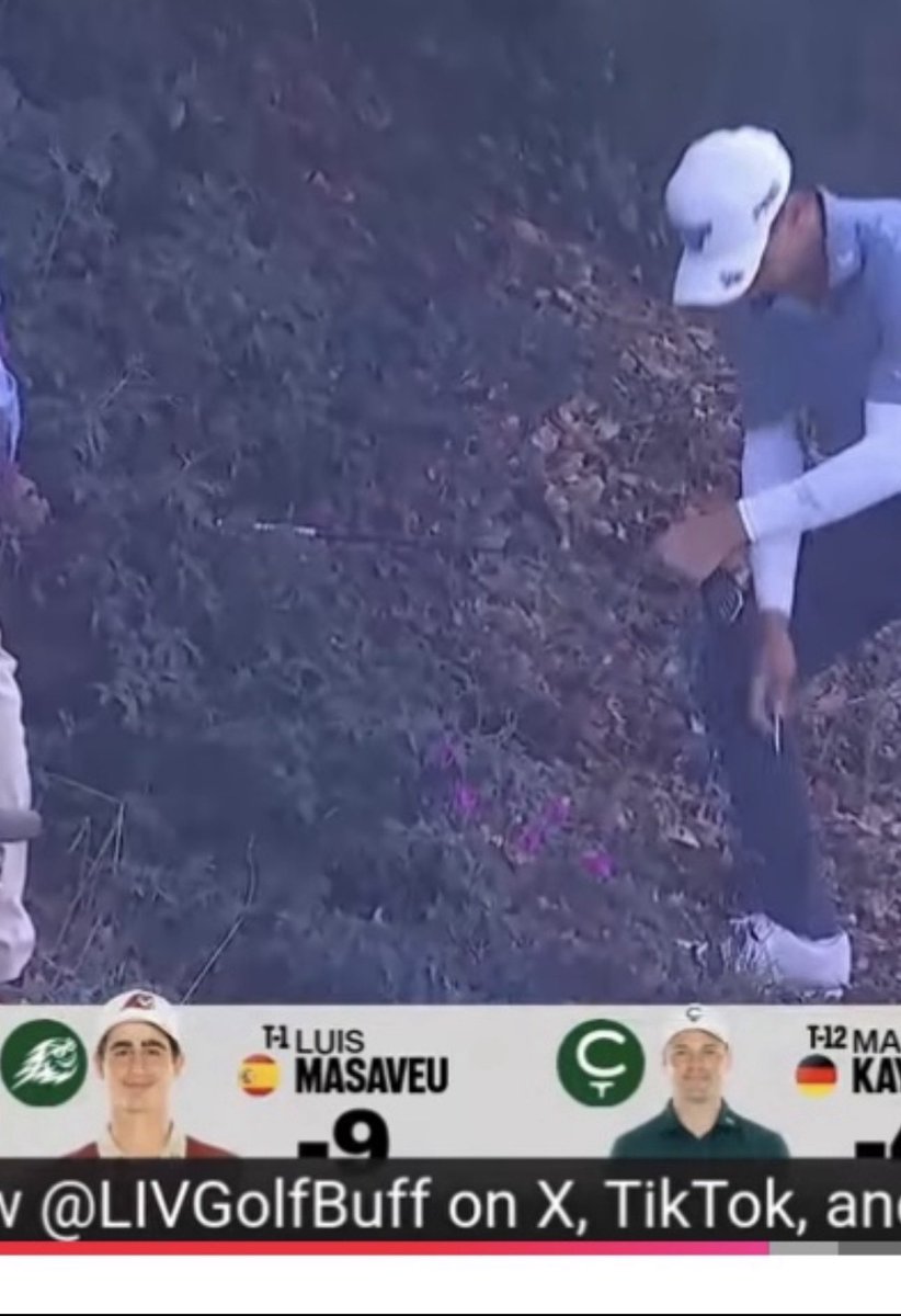 Punch The Monkey tweet media