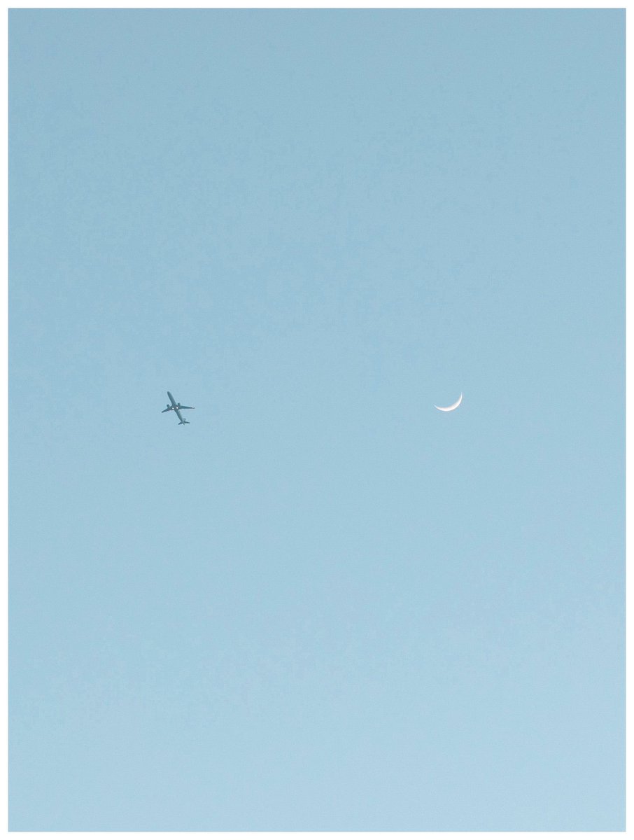 Ryosuke Nobutoki/kisk tweet media