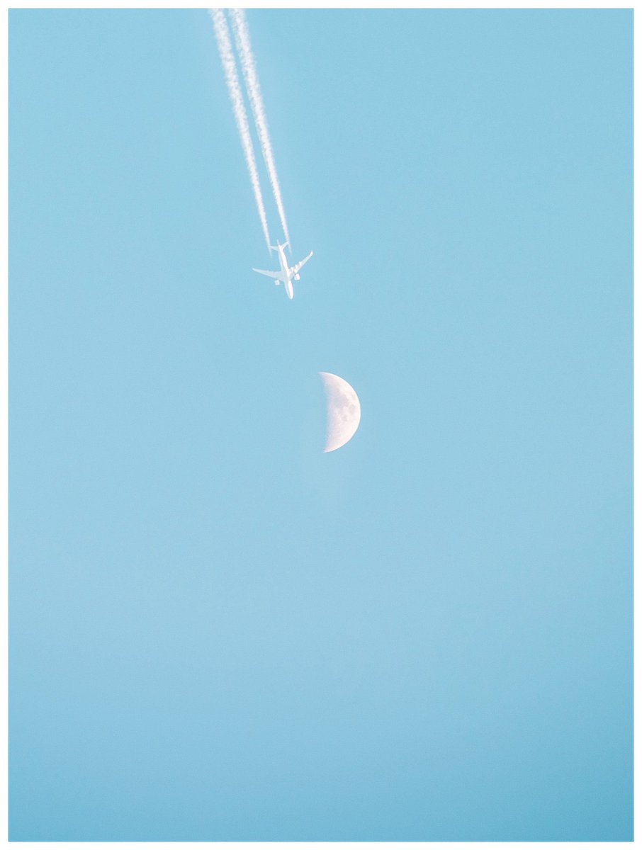 Ryosuke Nobutoki/kisk tweet media