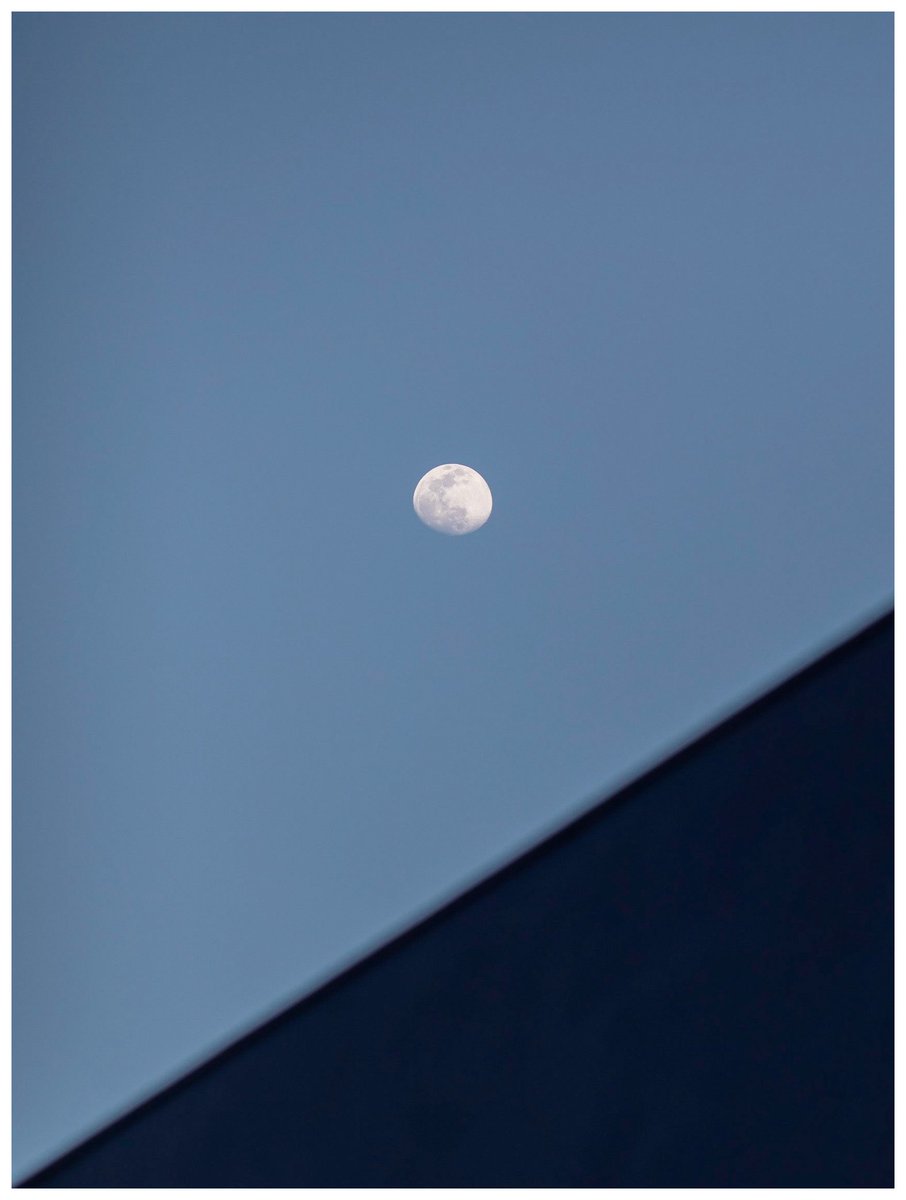 Ryosuke Nobutoki/kisk tweet media