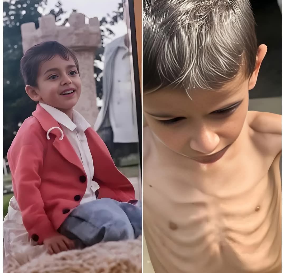 Levant Wire tweet media