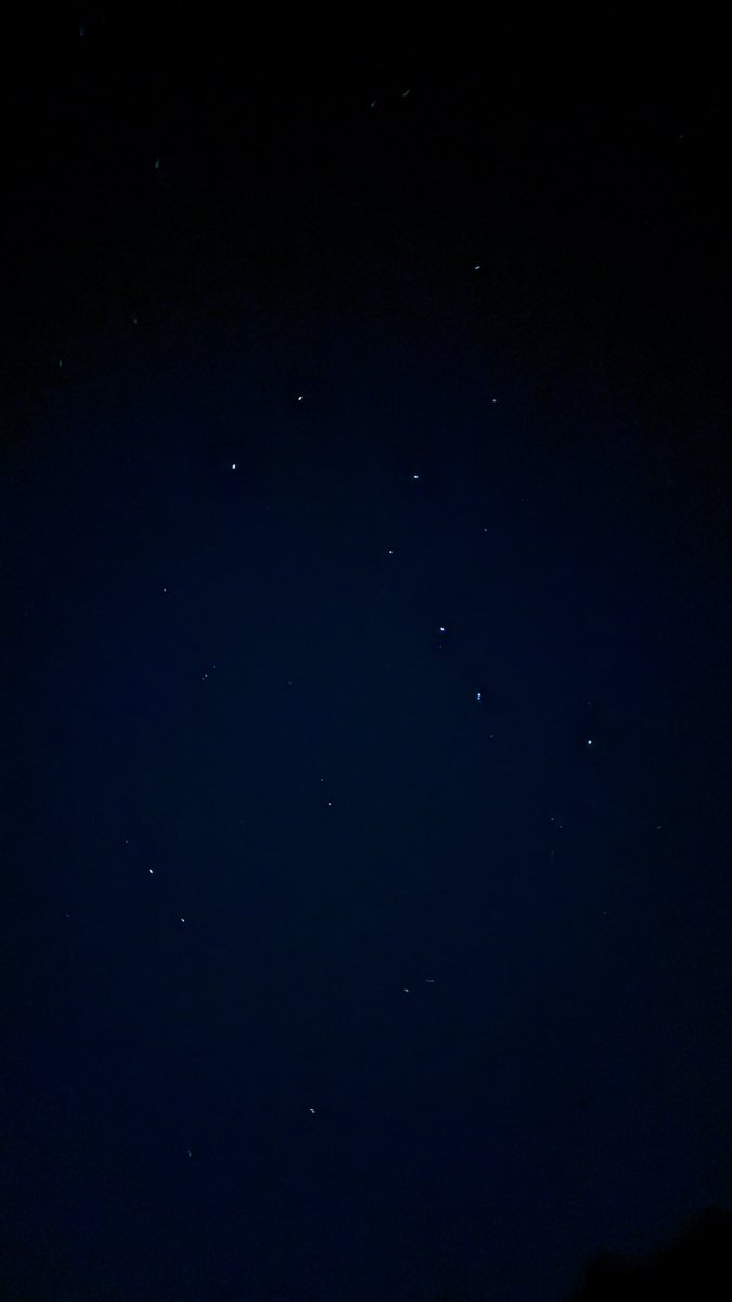 ろあん tweet media