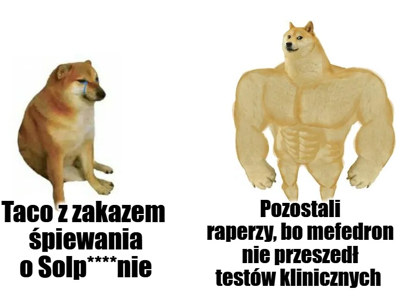 donald.pl tweet media