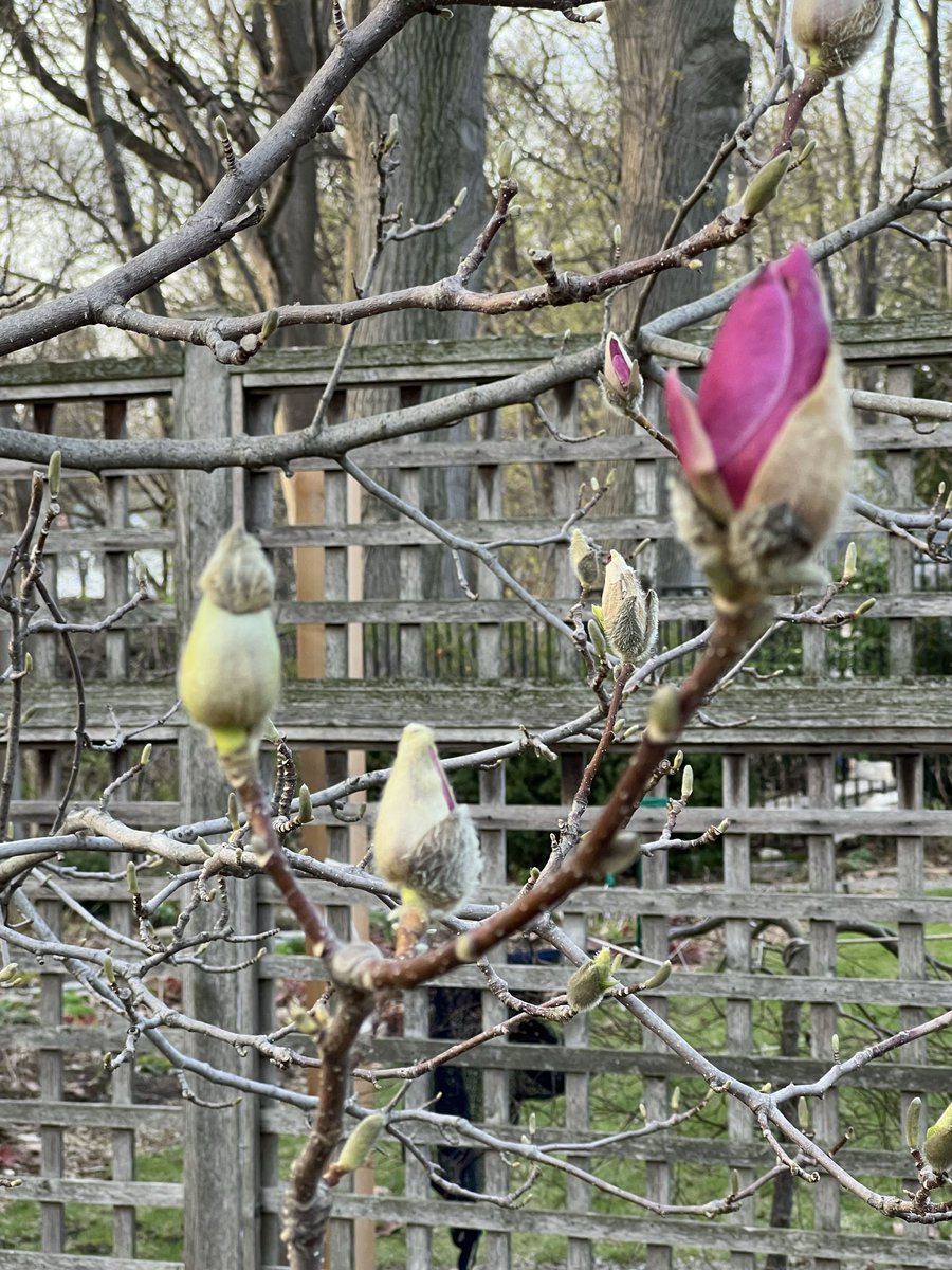 Cliff Burgess tweet media