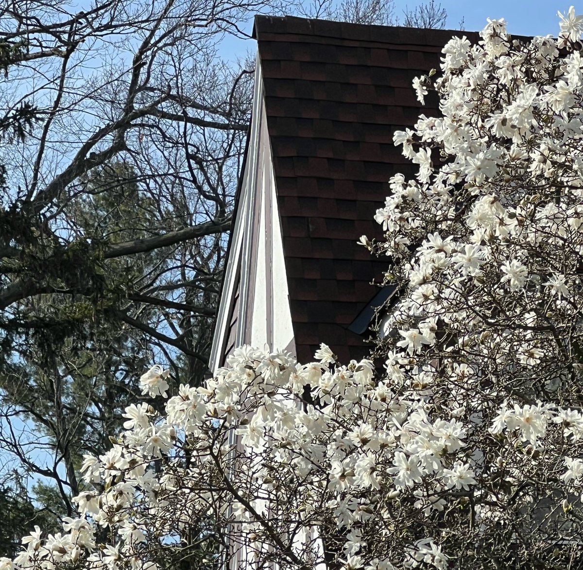 Cliff Burgess tweet media