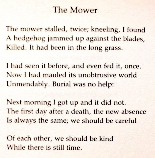 A timely reminder...

• Philip Larkin •