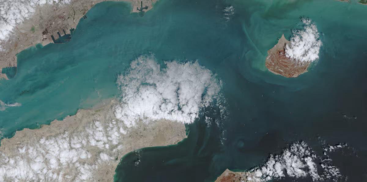 عضوان الأحمري tweet media