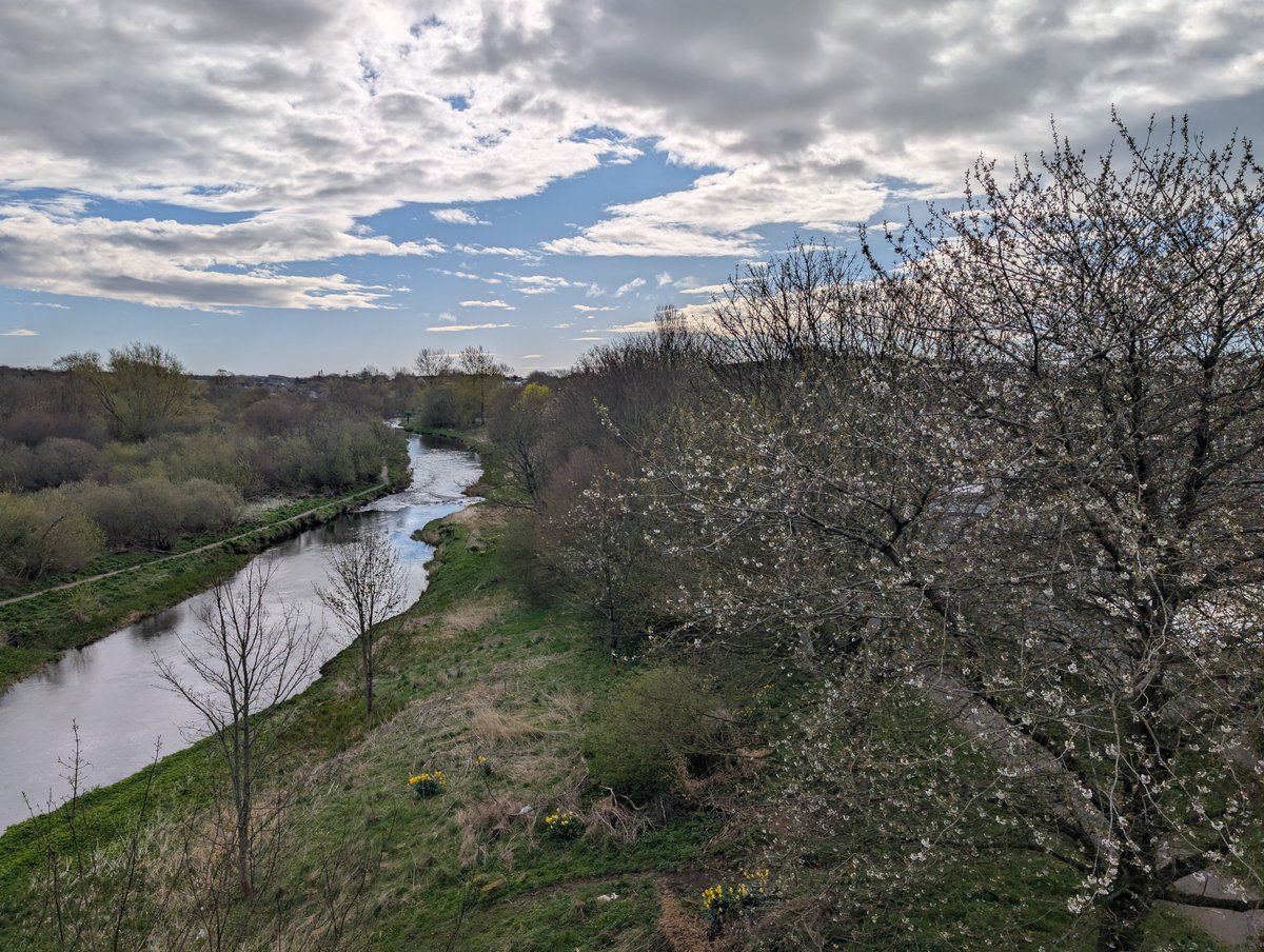 DooDahDog's tweet image. Day 365+108 - Showers, breeze, cool, damp. 
A progressive test #run on my knee after finding no more pain which held up no bother. Fine morning with a fresh shower to keep things cool. 50th #Parkrun 🥳
#running #ukrunchat #5kaday