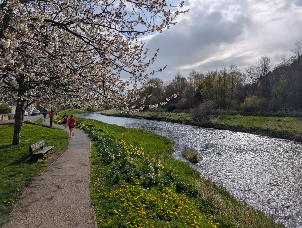 DooDahDog's tweet image. Day 365+108 - Showers, breeze, cool, damp. 
A progressive test #run on my knee after finding no more pain which held up no bother. Fine morning with a fresh shower to keep things cool. 50th #Parkrun 🥳
#running #ukrunchat #5kaday
