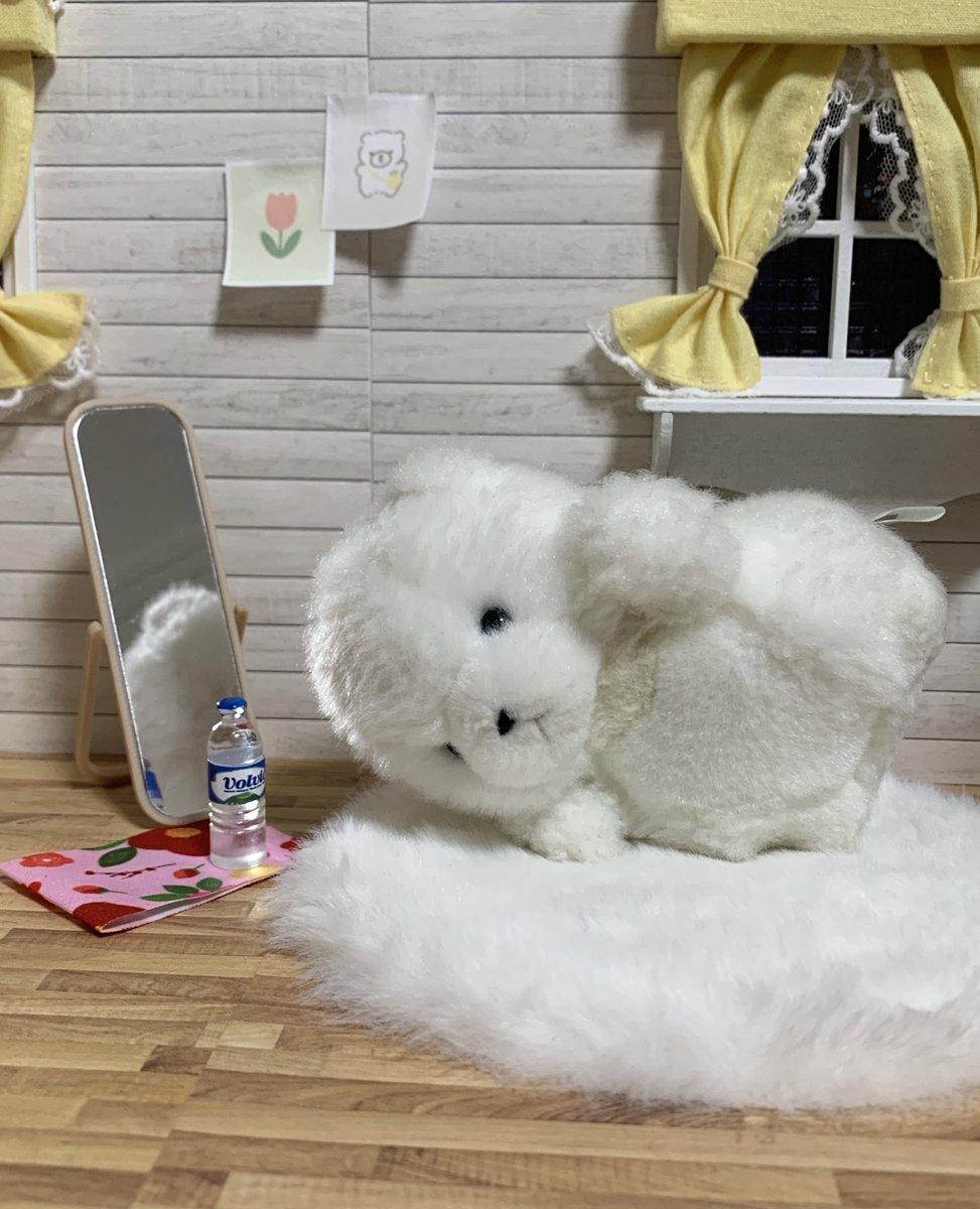 ぼん🎈 tweet media