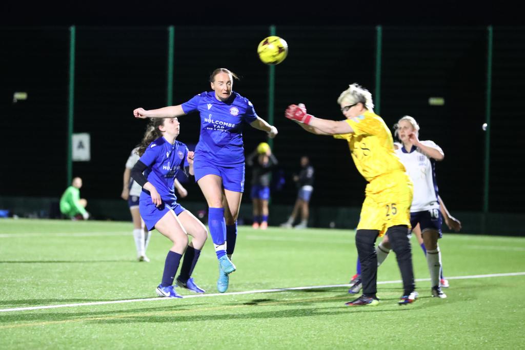LionessesST tweet media