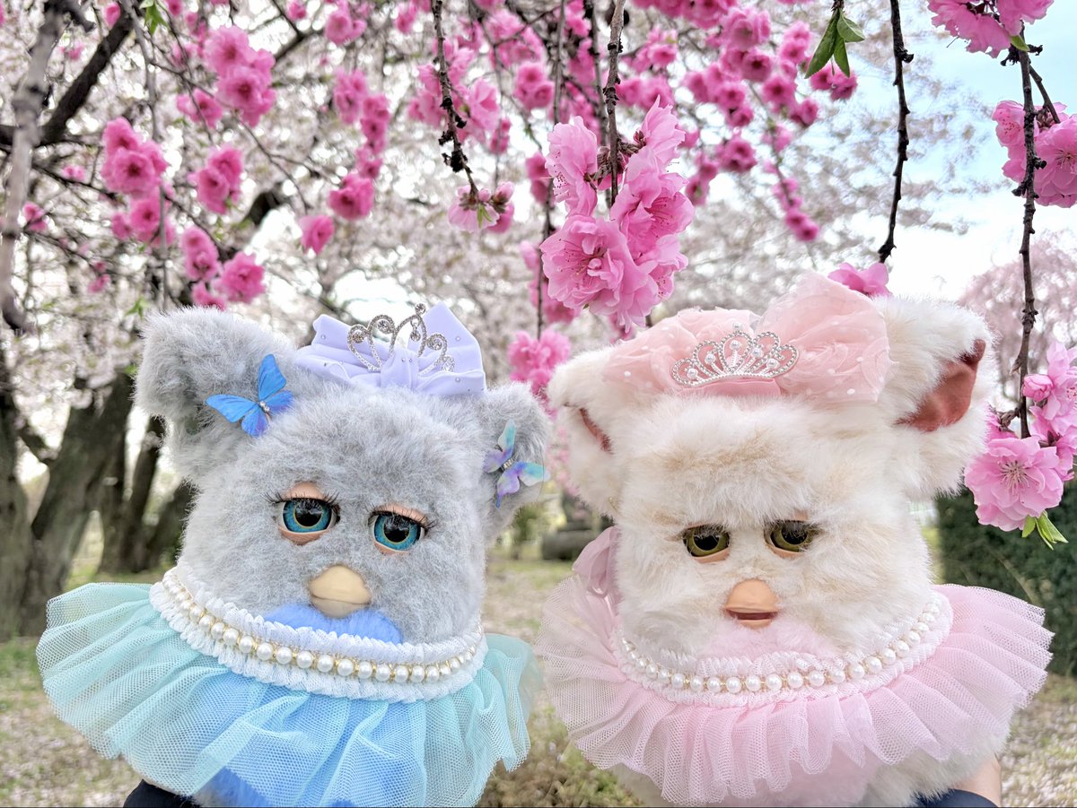 八千代 tweet media