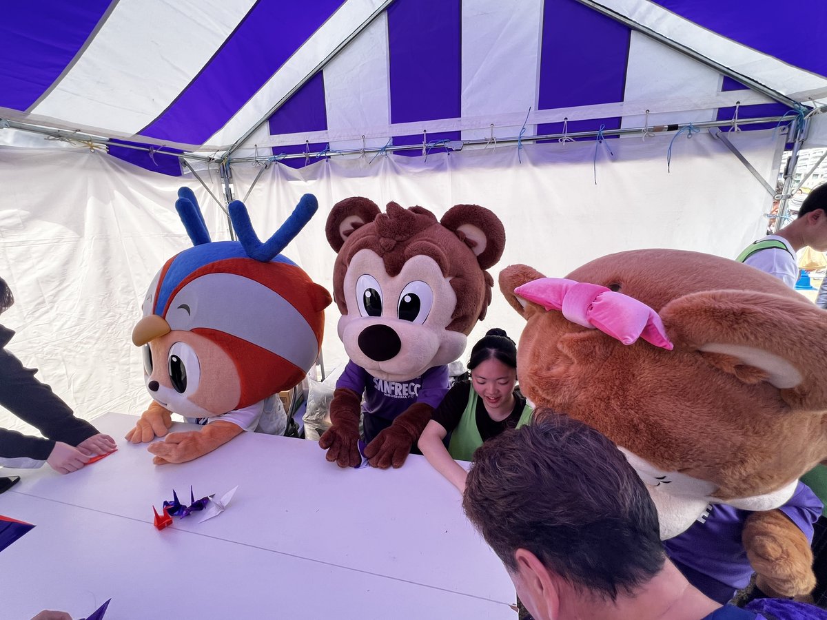 サンフレッチェ広島【公式】 tweet media