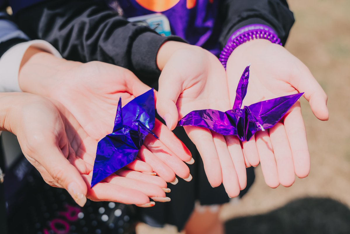 サンフレッチェ広島【公式】 tweet media