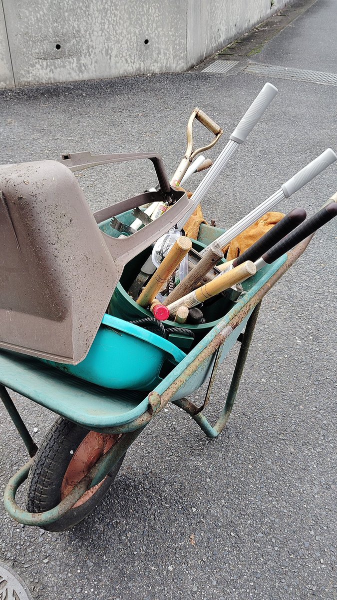 セスナ号😎 tweet media