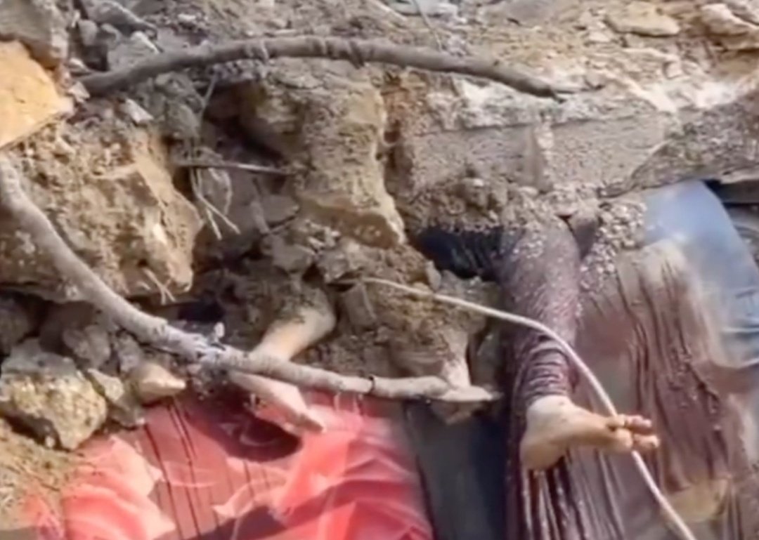 محمد المختار الشنقيطي tweet media