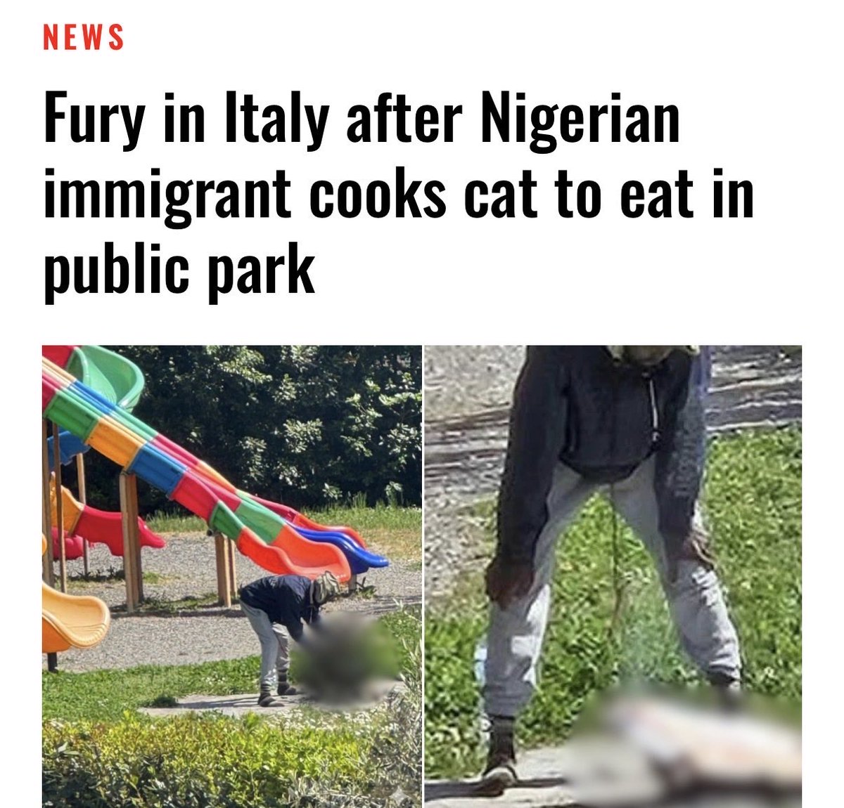 Lozzy B 🇦🇺𝕏 tweet media