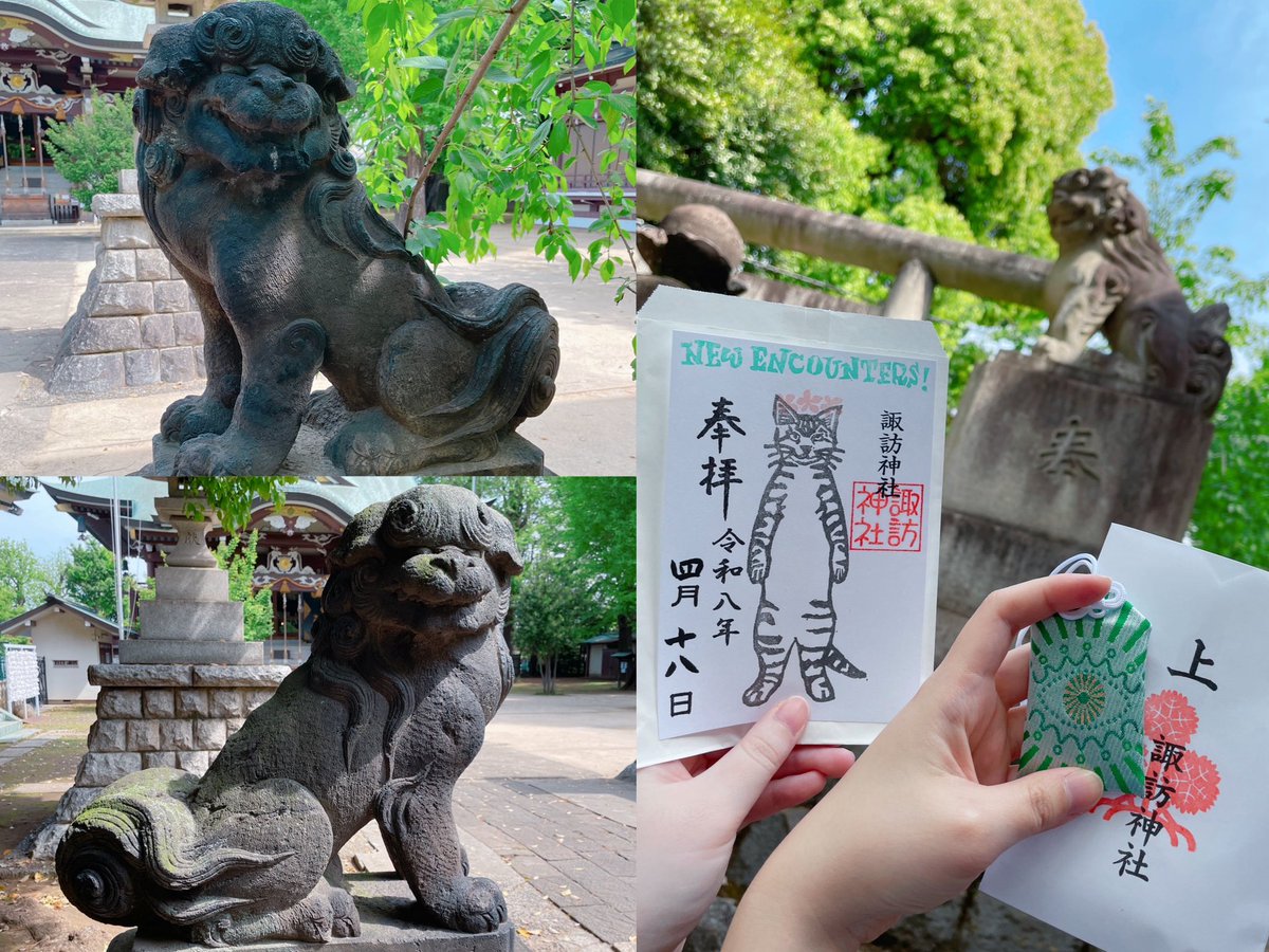 硝煙❤️‍🩹 tweet media