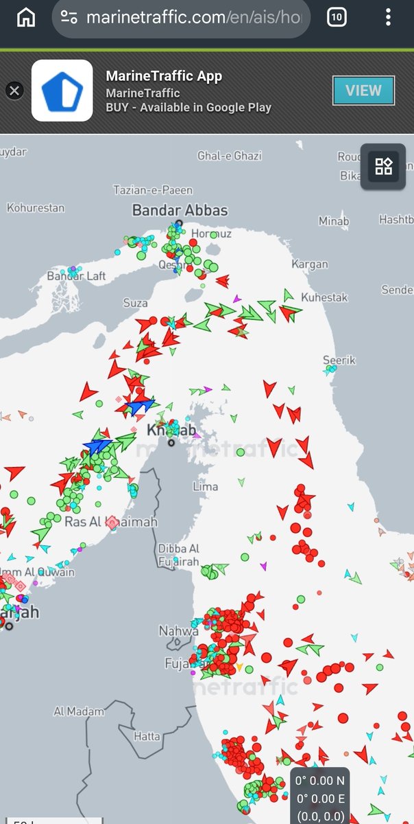 toto panot tweet media