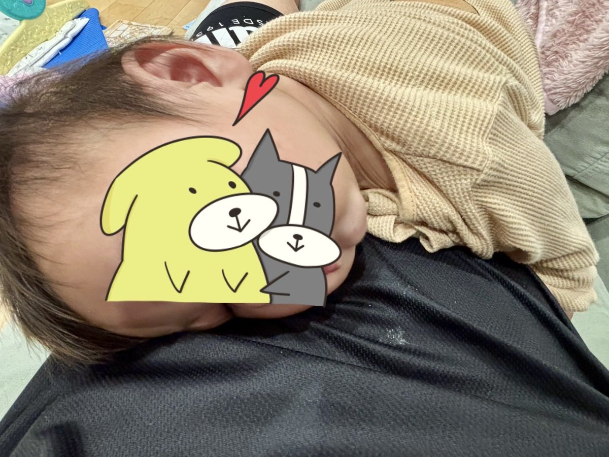 牧 場 野 牛 tweet media