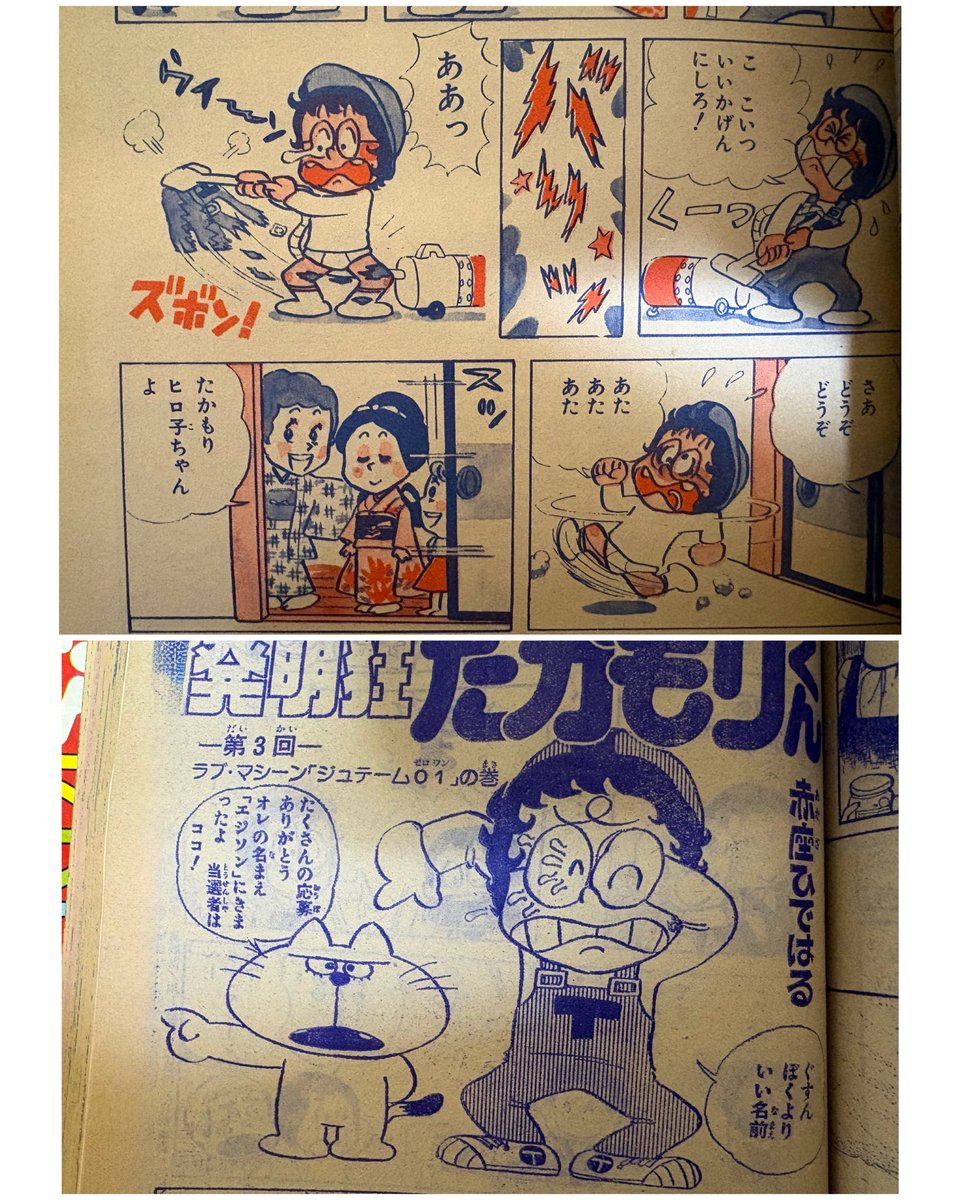 そらいろの樹🌿🕊️ tweet media