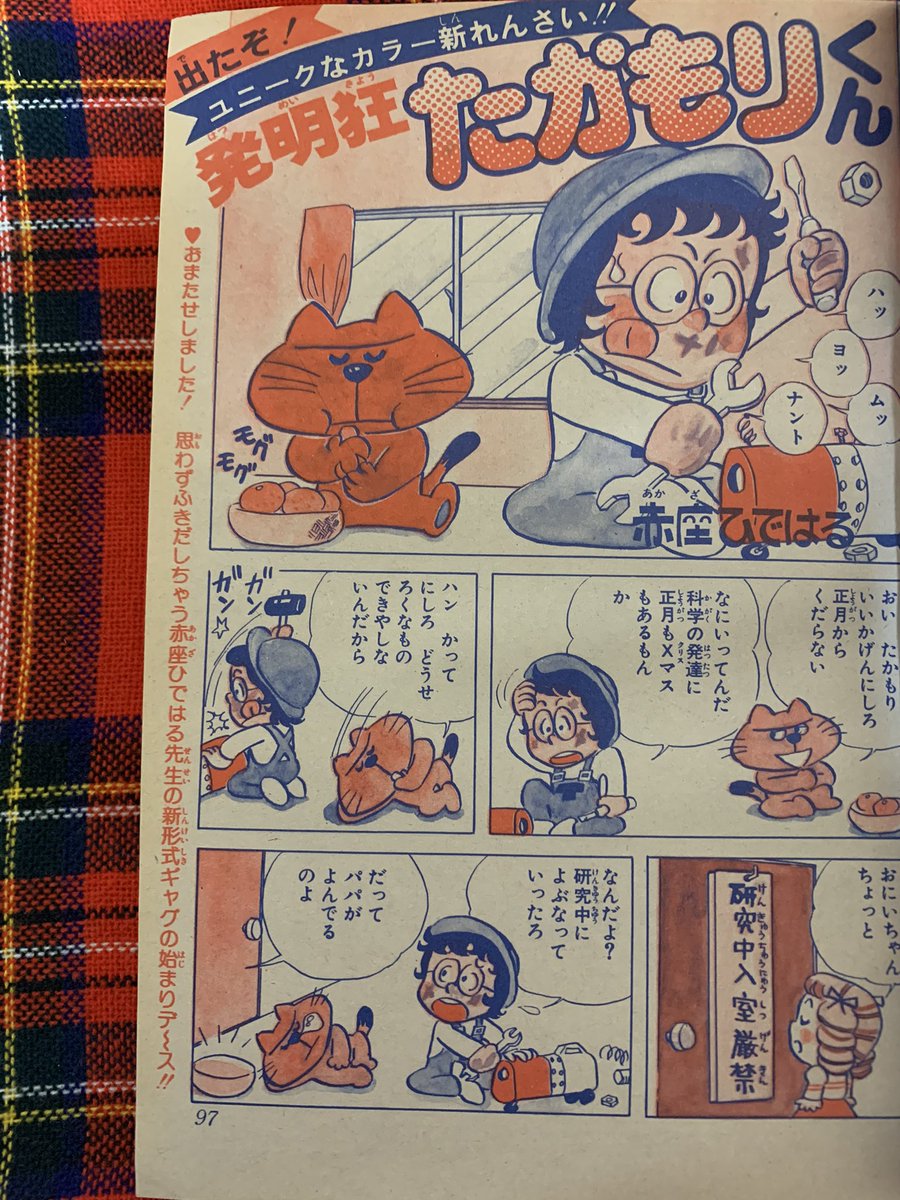 そらいろの樹🌿🕊️ tweet media