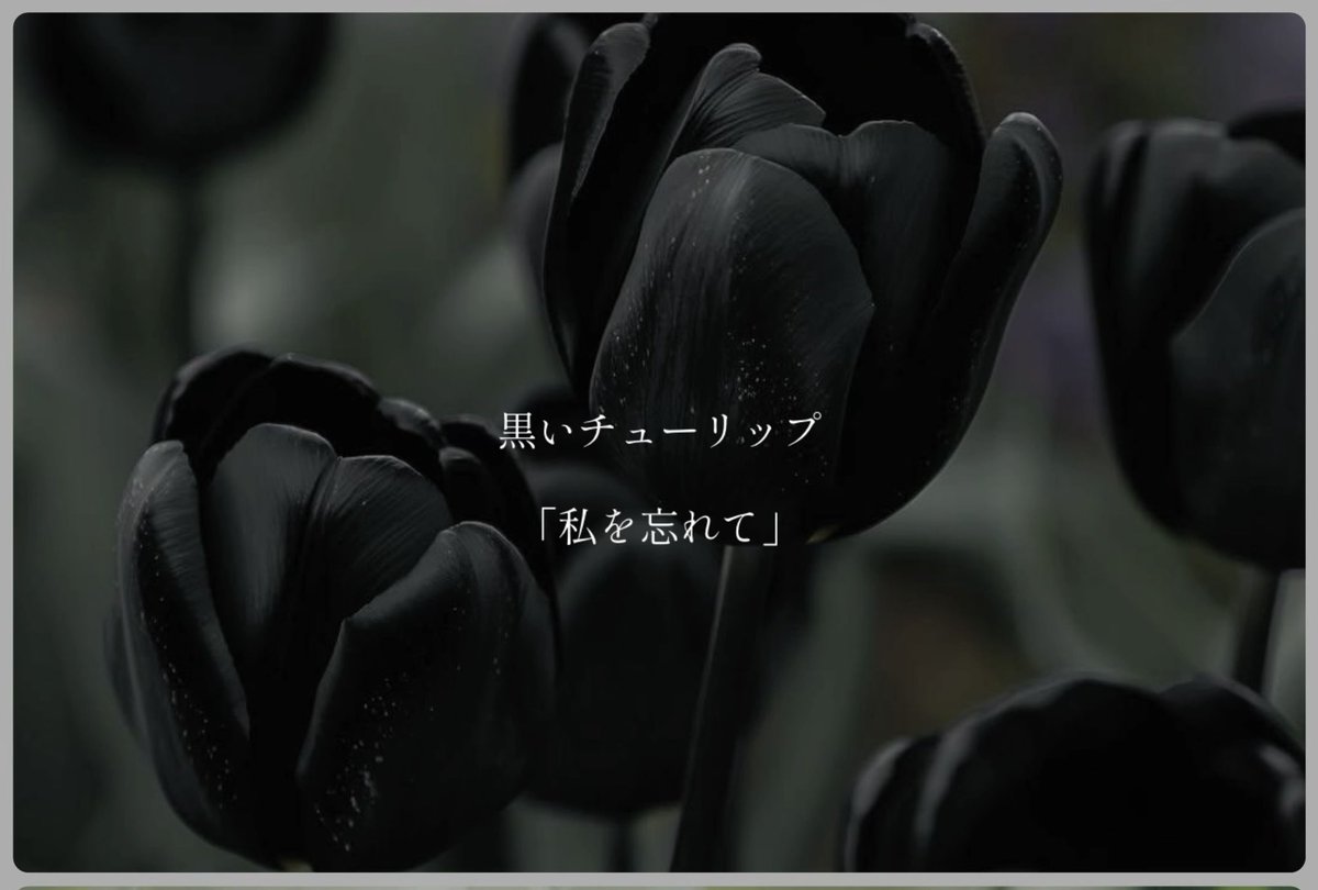 ねみぃ tweet media