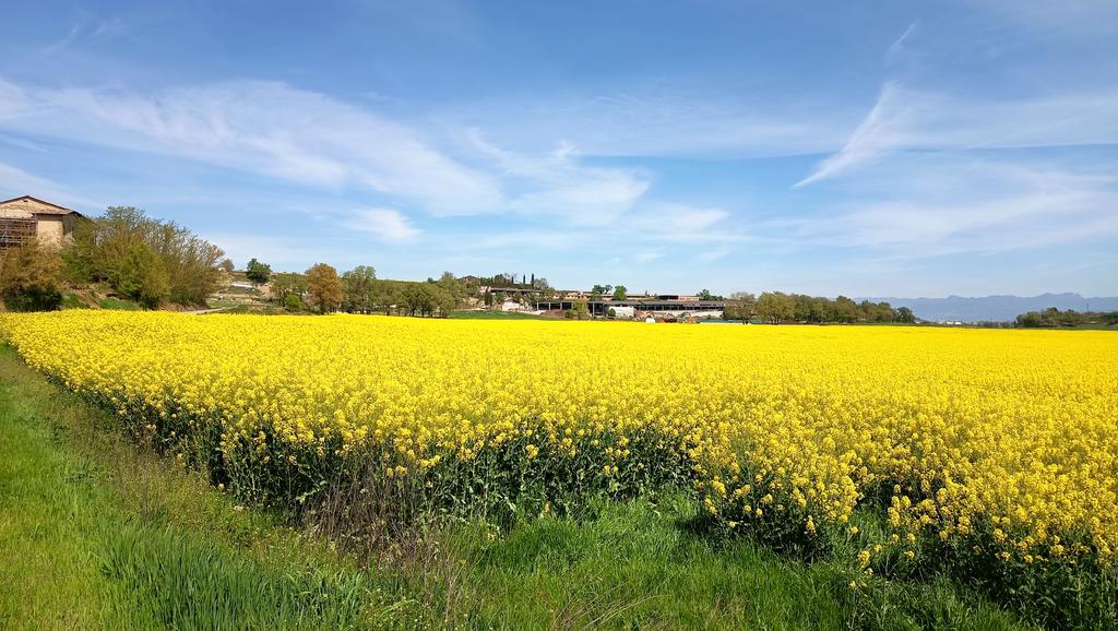 M_Boeck's tweet photo. Els fantàstics paisatges d'aquesta època a la Plana de Vic 😍💛🌳
Foto d'avui al matí, a Malla (Osona), mirant cap al Pirineu que queda amagat darrera la granja 🫶🏼

#ElTemps3cat #Osona #meteoosona https://t.co/9sAqsAT6bZ