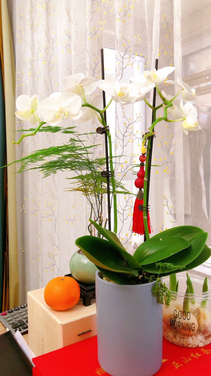 brendan bennett tweet media