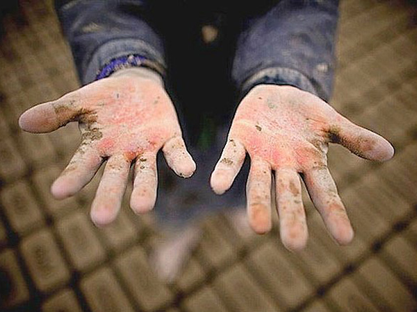 İSİG Meclisi tweet media