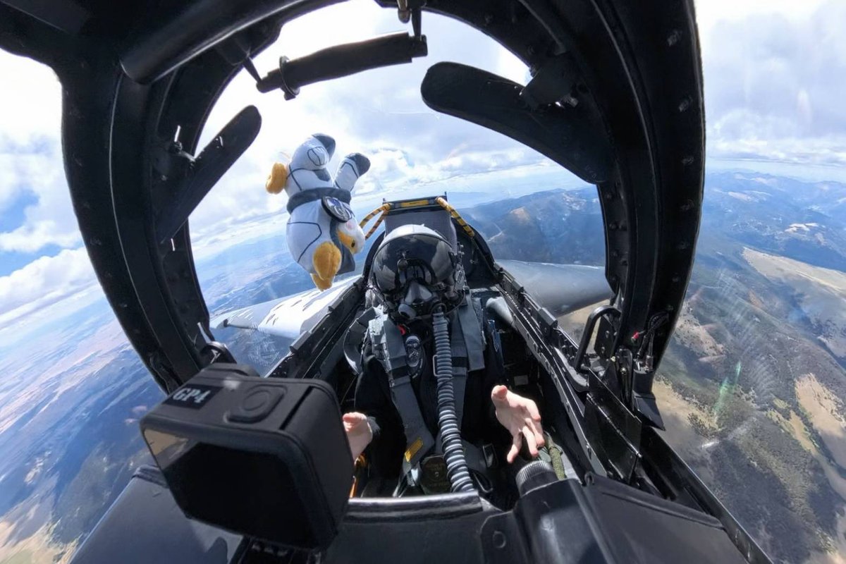 ASTEROID SHIBA tweet media