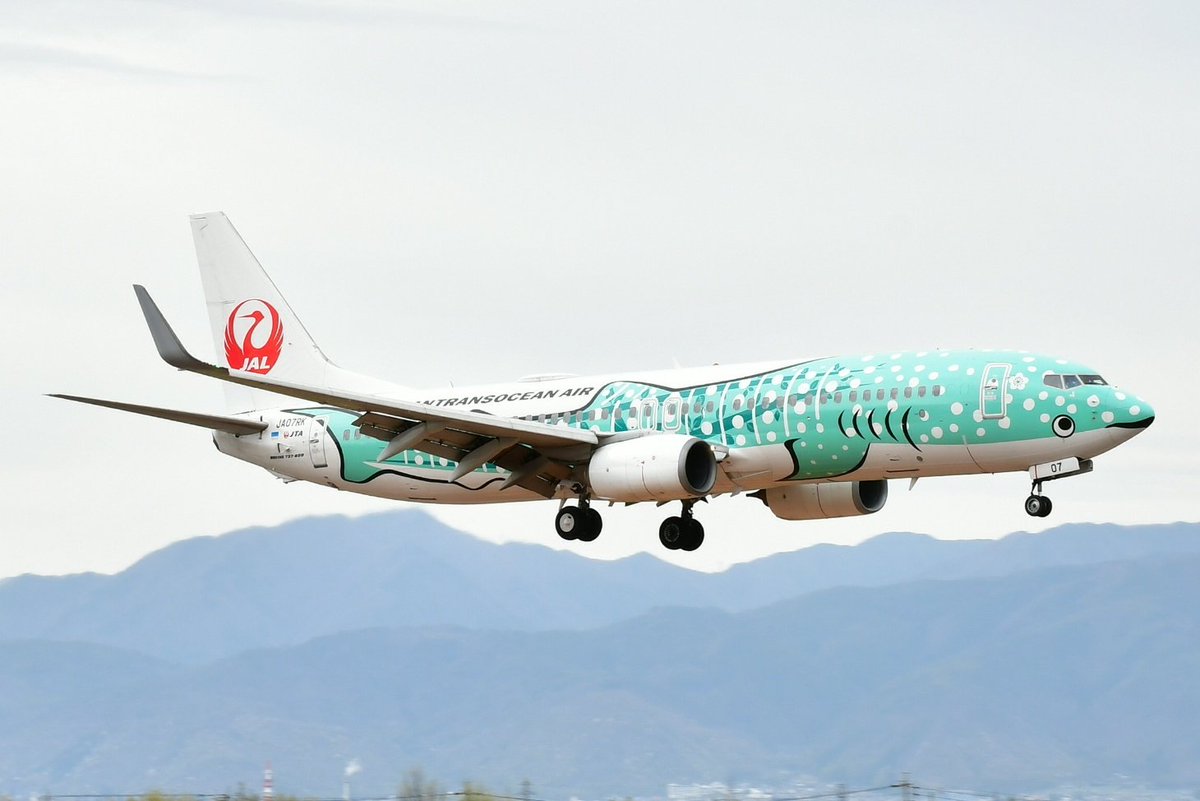 カルミコ tweet media