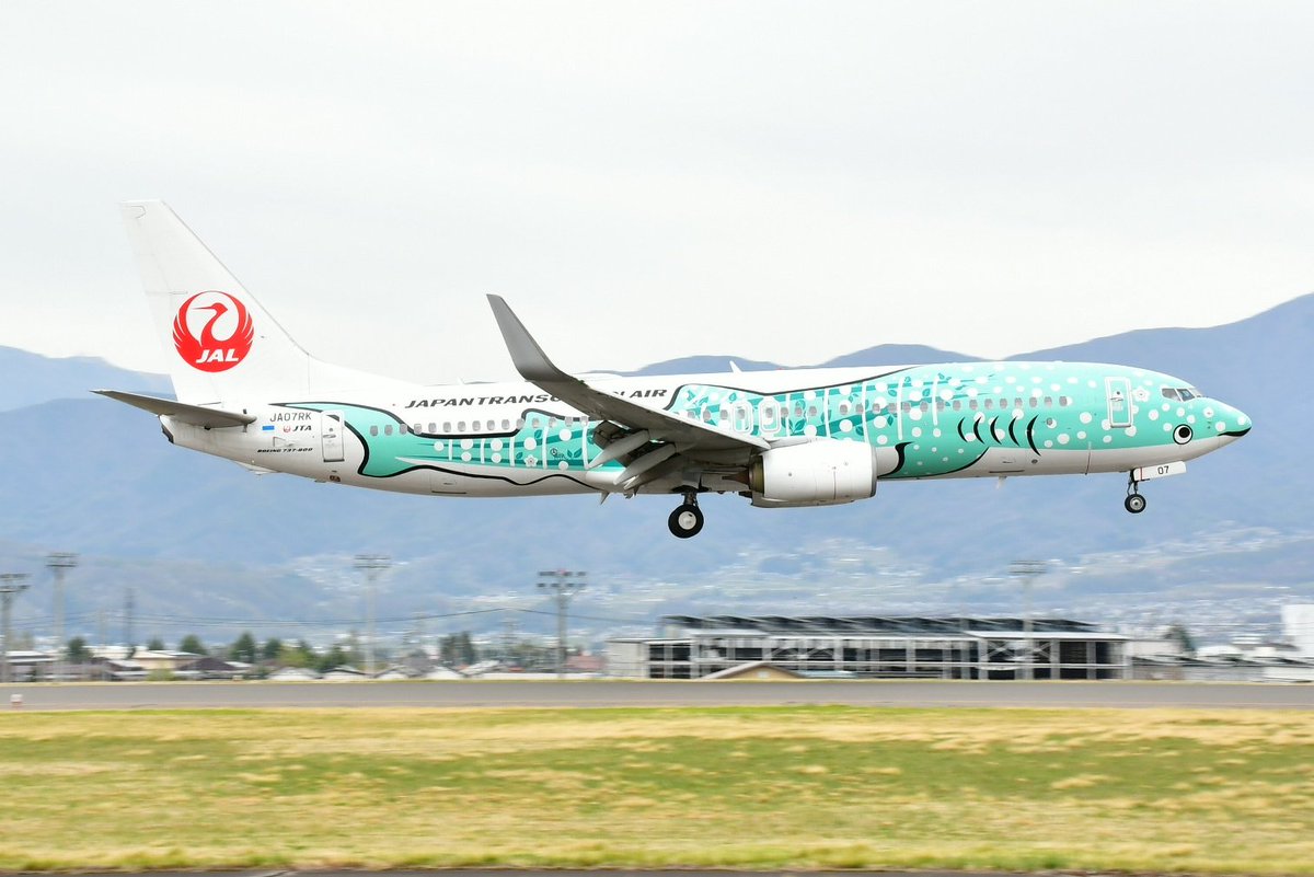 カルミコ tweet media